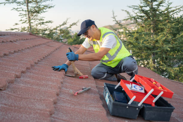 Best Roof Repair Specialists  in Dravosburg, PA